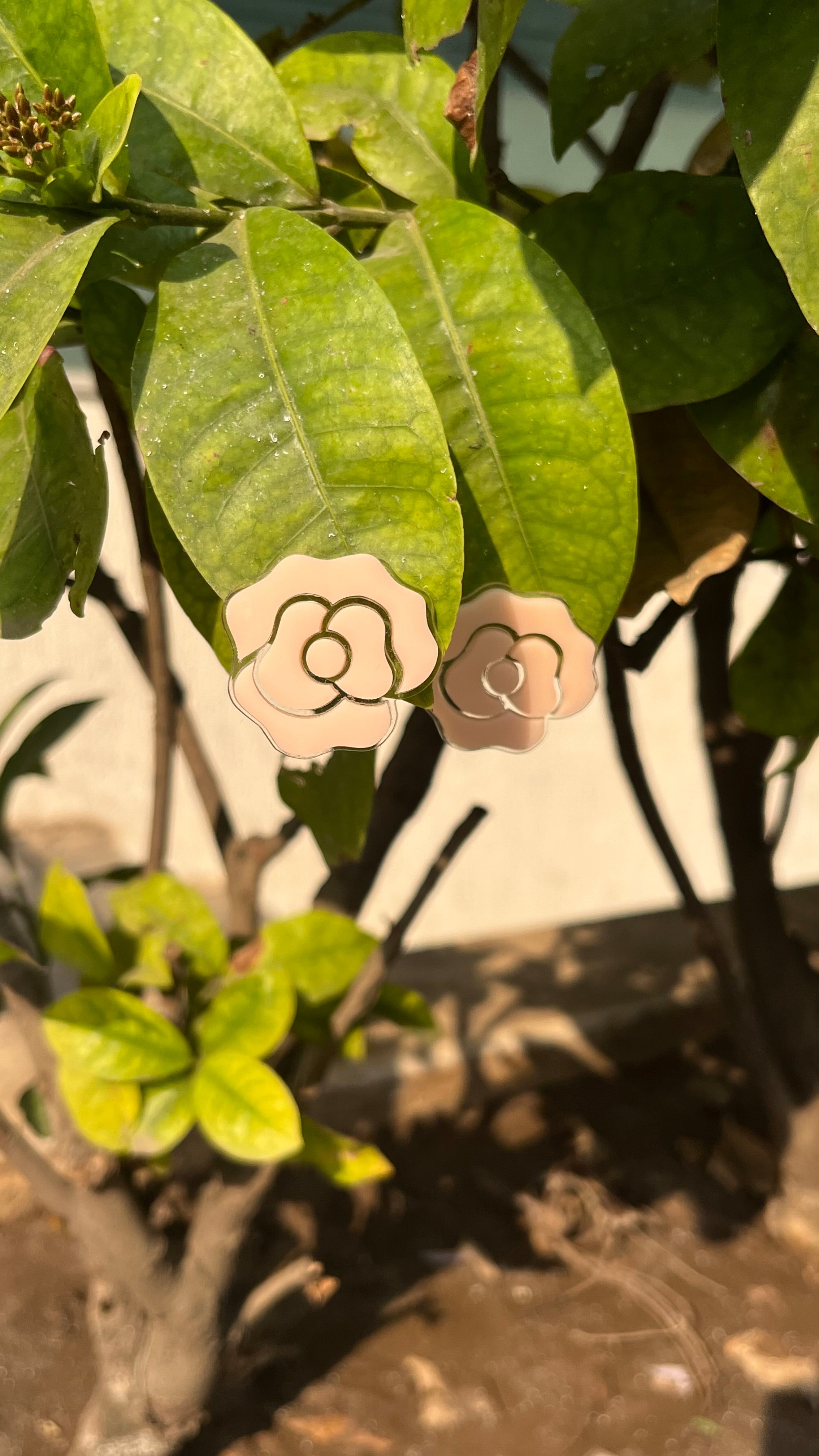 ROSE | Enchanted rose Belle earrings