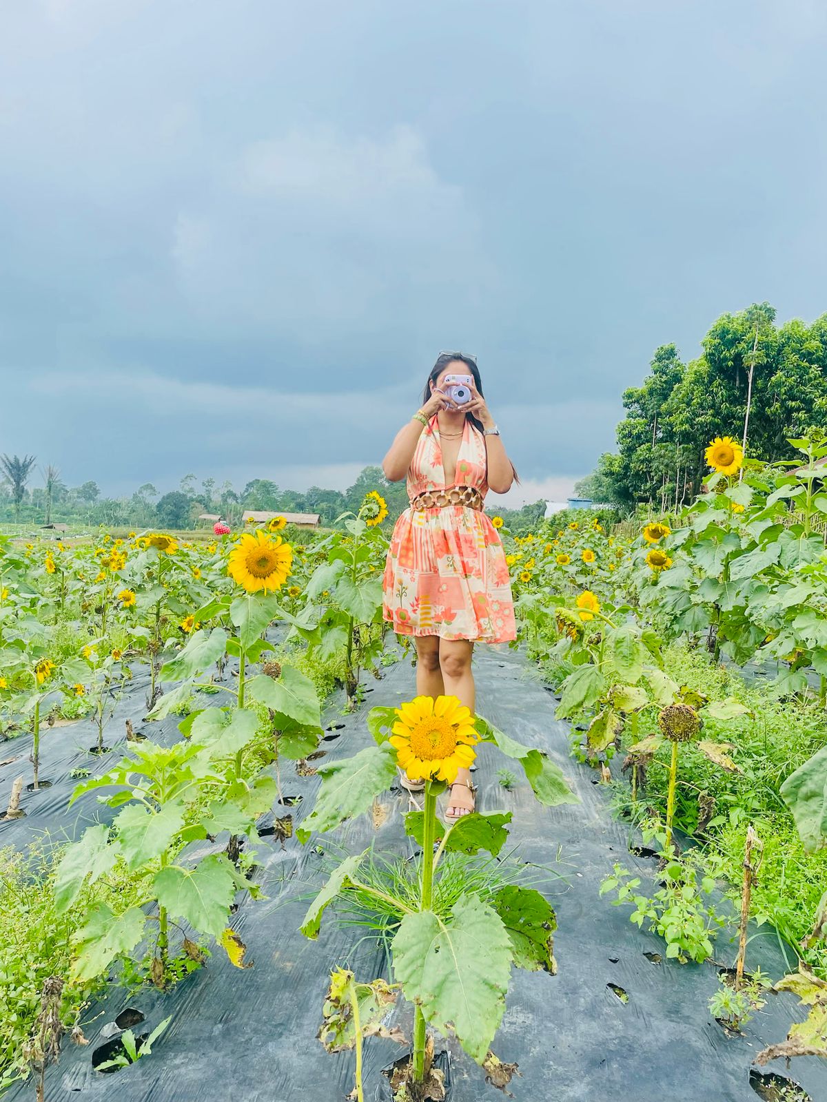 Sunflower dress